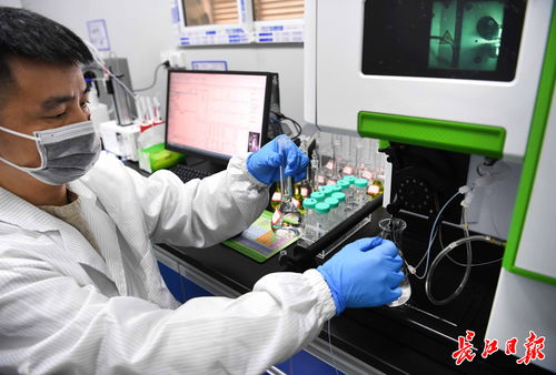 武漢中小企業(yè)借腦高校，以專精特新勁頭角逐信息技術(shù)賽道